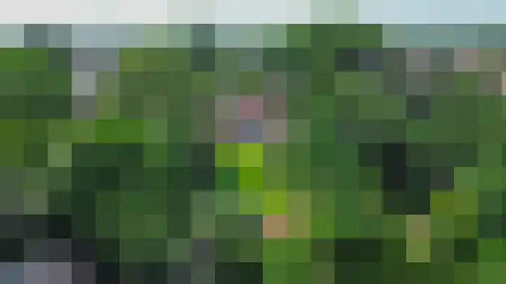 Willibrorduslaan 48 Eersel thumbnail 44