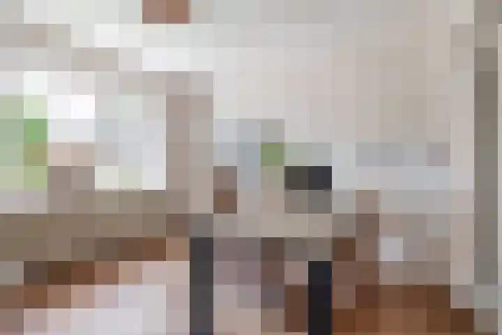 Willibrorduslaan 48 Eersel thumbnail 9