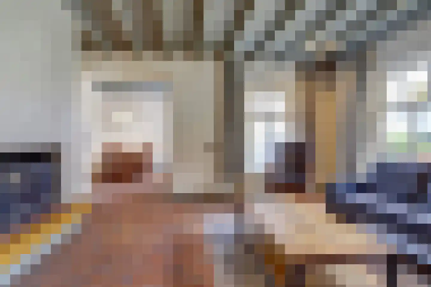 Willibrorduslaan 80 Eersel thumbnail 11