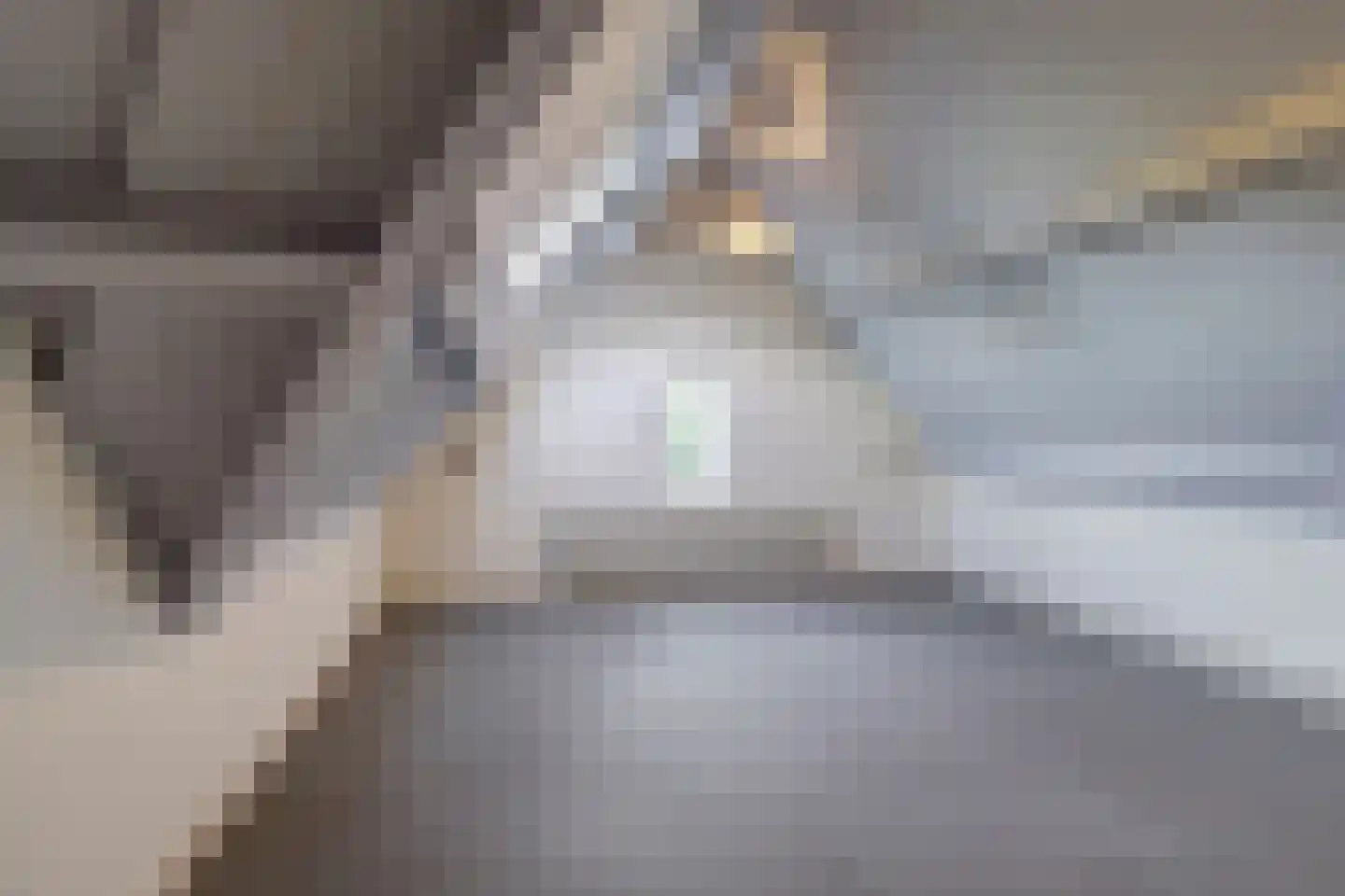 Willibrorduslaan 80 Eersel thumbnail 34