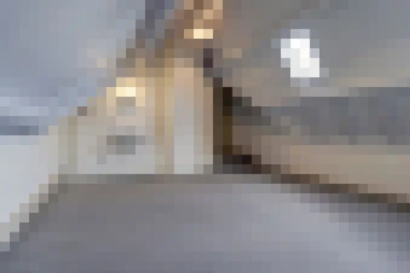 Willibrorduslaan 80 Eersel thumbnail 35