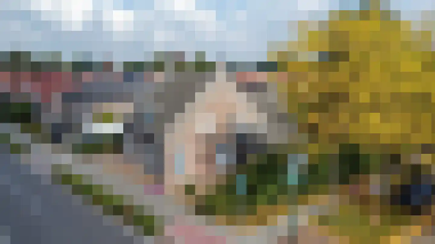 Willibrorduslaan 80 Eersel thumbnail 5