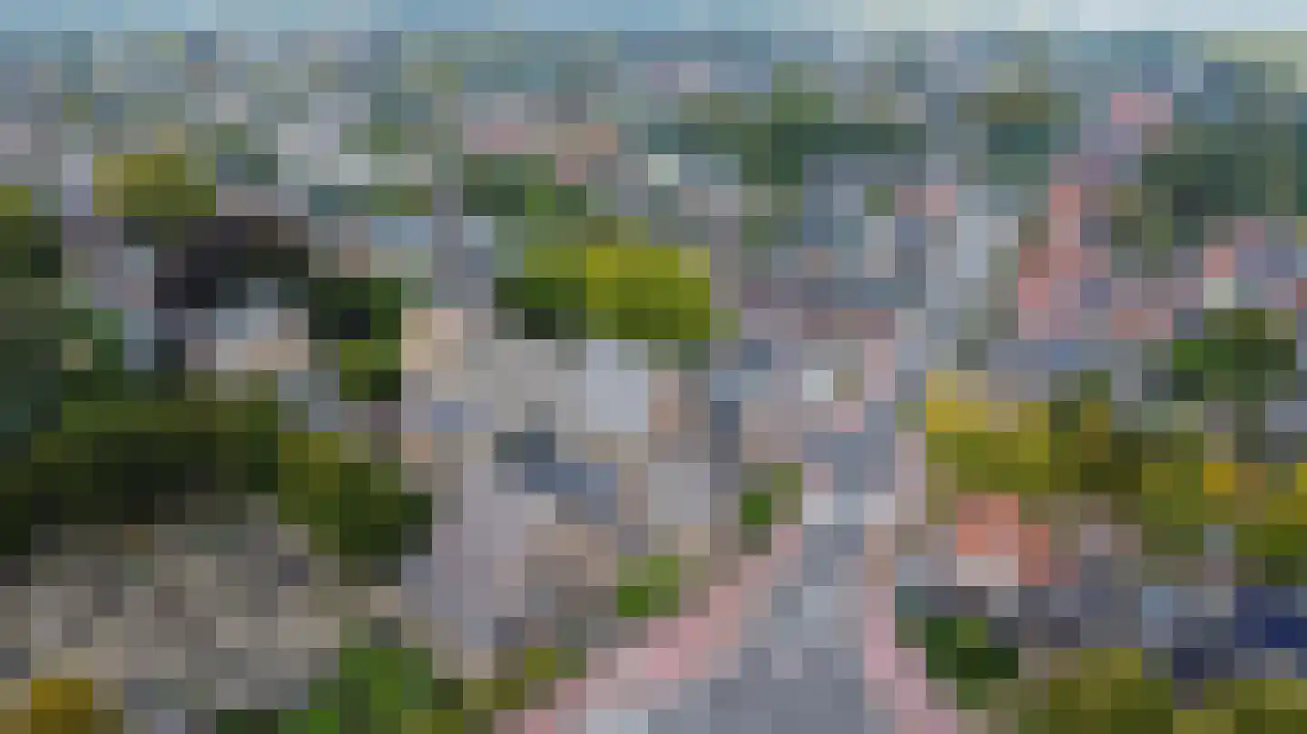 Willibrorduslaan 80 Eersel thumbnail 61