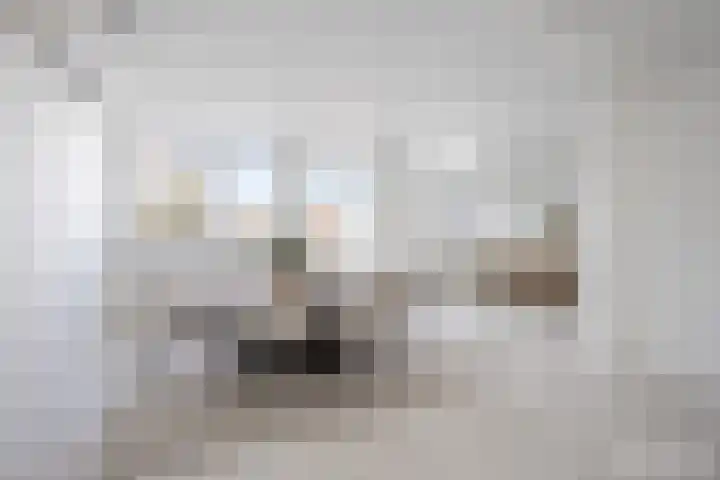 Willibrordusstraat 4 Susteren thumbnail 12