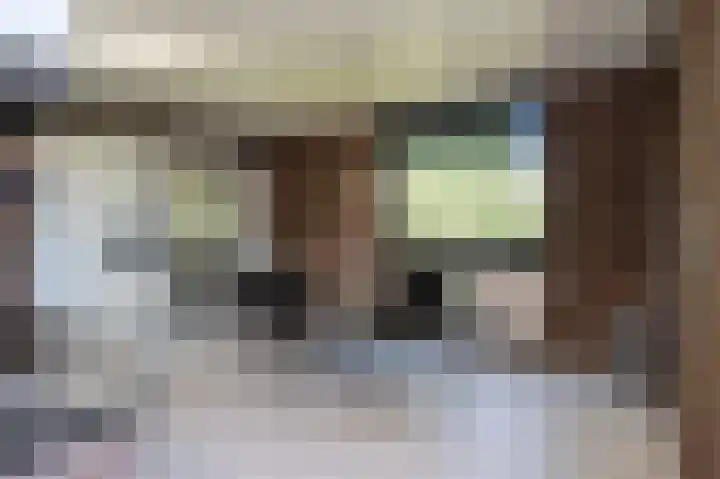 Willibrordusstraat 6 Susteren thumbnail 21