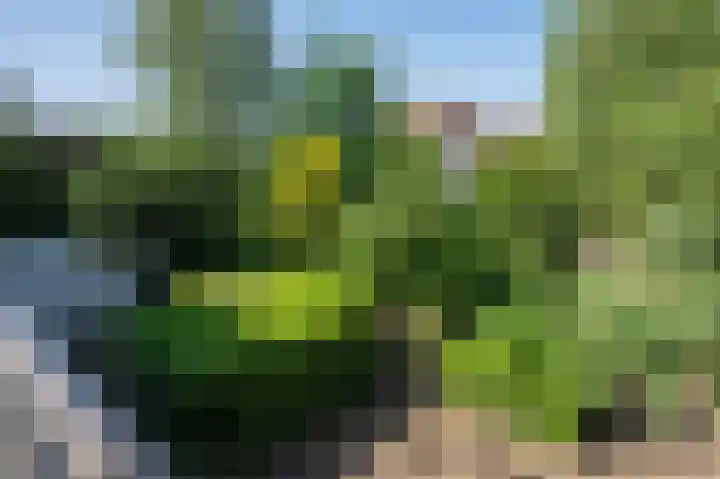 Willibrordusstraat 6 Susteren thumbnail 35