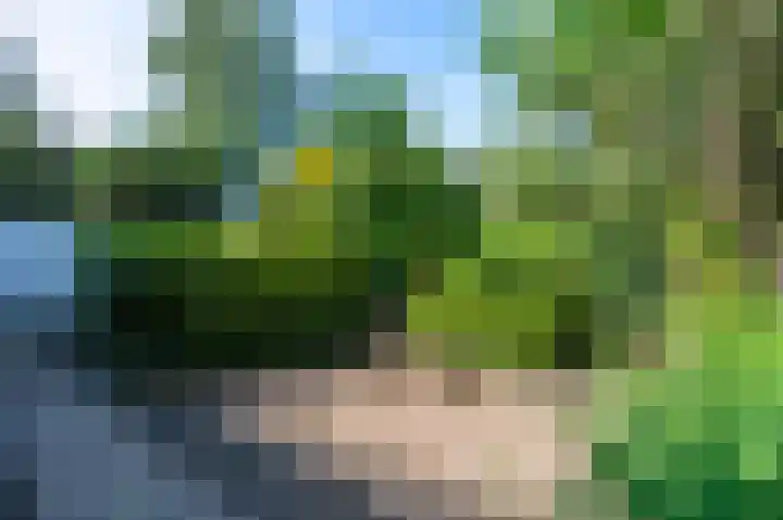 Willibrordusstraat 6 Susteren thumbnail 38