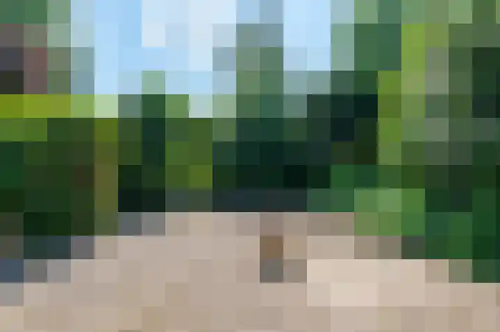 Willibrordusstraat 6 Susteren thumbnail 39