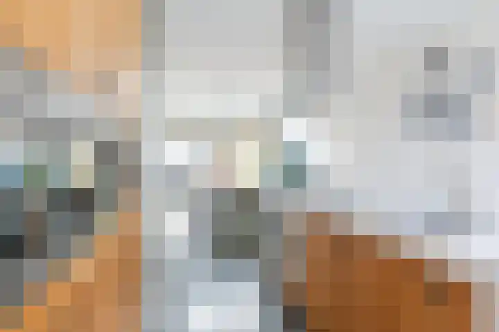 Willibrordusweg 11 Oss thumbnail 13