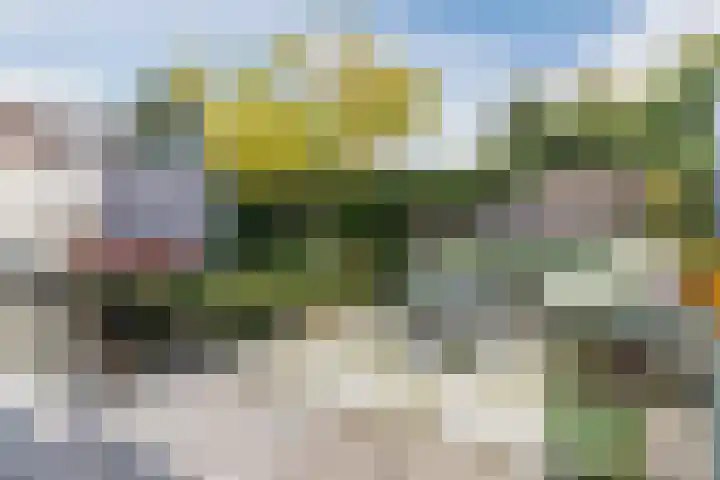Willibrordusweg 11 Oss thumbnail 32