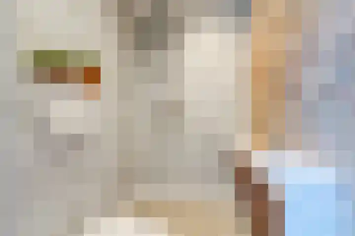 Willibrordusweg 11 Oss thumbnail 42