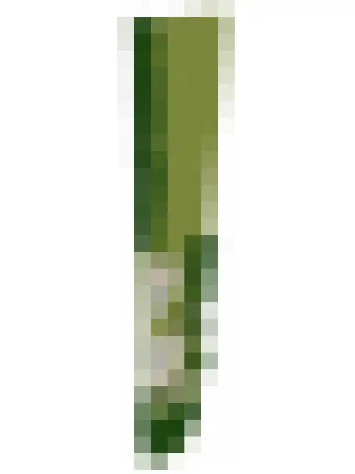Willibrordusweg 195 Oss thumbnail 144