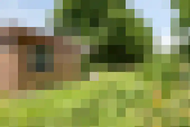 Willibrordusweg 195 Oss thumbnail 15