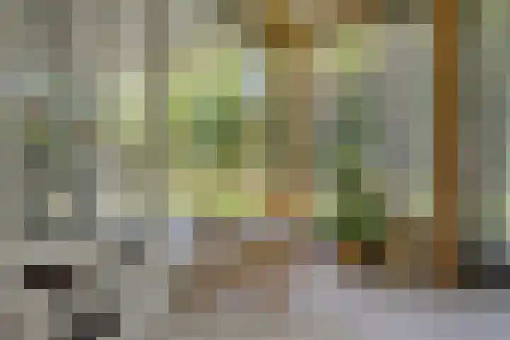 Willibrordusweg 195 Oss thumbnail 21