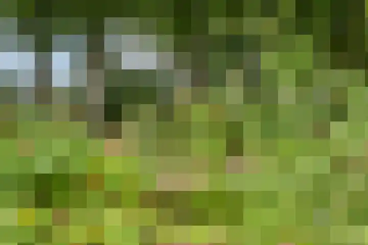 Willibrordusweg 195 Oss thumbnail 22