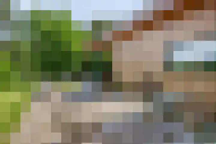 Willibrordusweg 195 Oss thumbnail 26