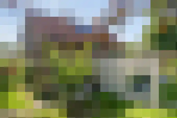 Willibrordusweg 195 Oss thumbnail 29