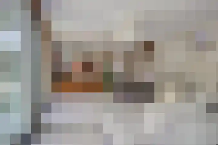 Willibrordusweg 195 Oss thumbnail 31