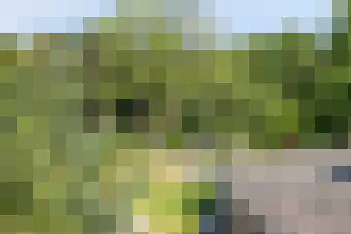 Willibrordusweg 195 Oss thumbnail 32