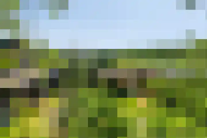 Willibrordusweg 195 Oss thumbnail 34