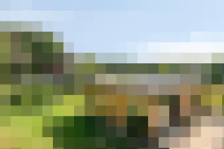 Willibrordusweg 195 Oss thumbnail 35