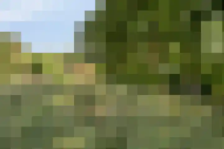 Willibrordusweg 195 Oss thumbnail 36