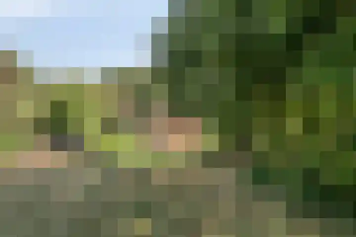Willibrordusweg 195 Oss thumbnail 37