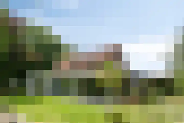 Willibrordusweg 195 Oss thumbnail 4