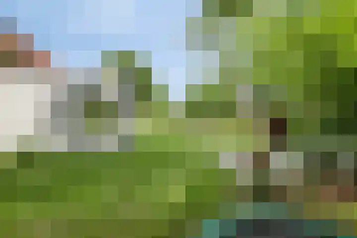 Willibrordusweg 195 Oss thumbnail 76