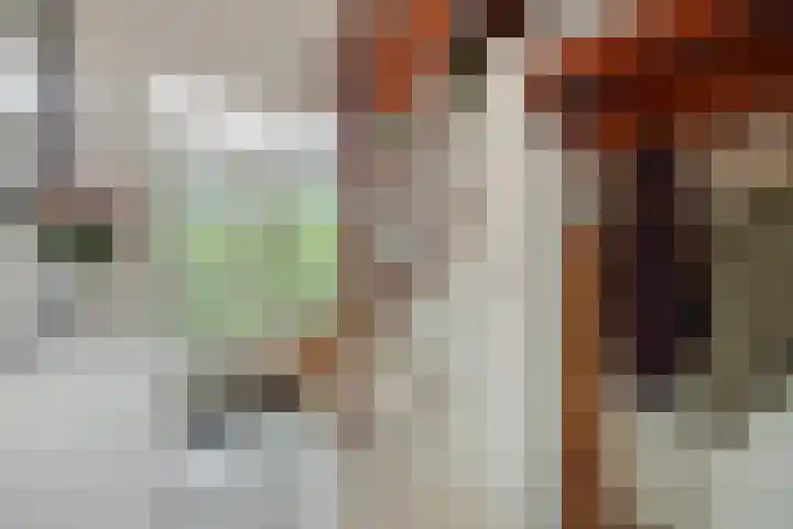 Willibrordusweg 199 Oss thumbnail 14