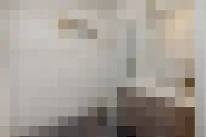 Willibrordusweg 199 Oss thumbnail 18