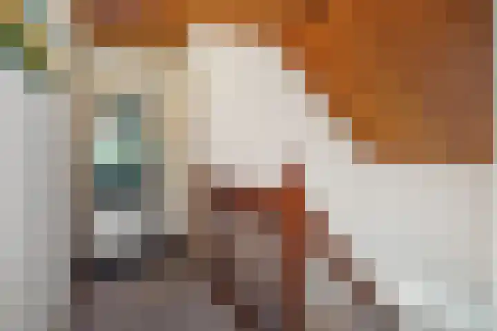 Willibrordusweg 199 Oss thumbnail 21