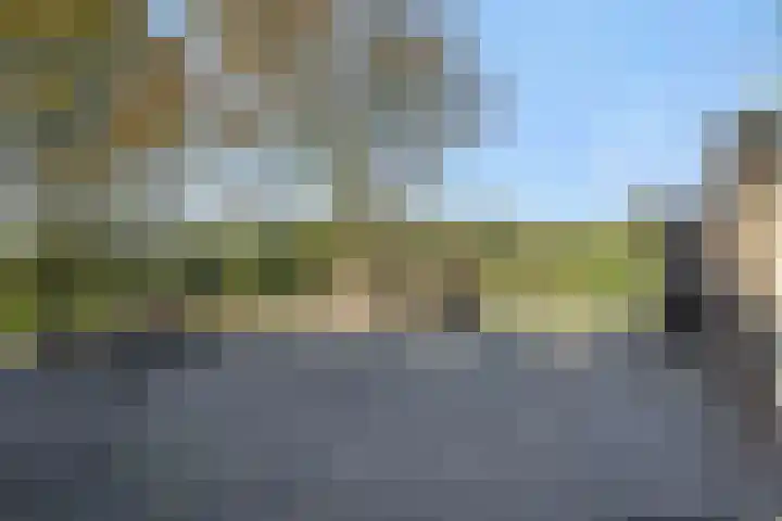 Willibrordusweg 199 Oss thumbnail 30