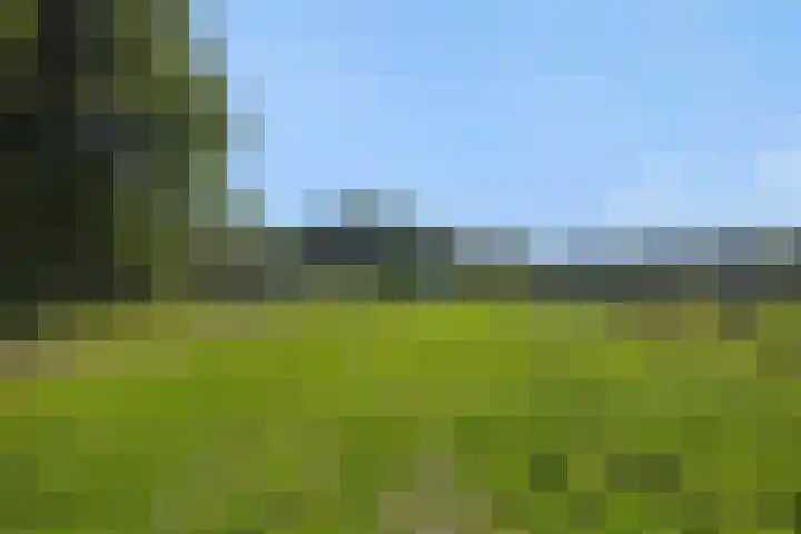 Willibrordusweg 199 Oss thumbnail 31