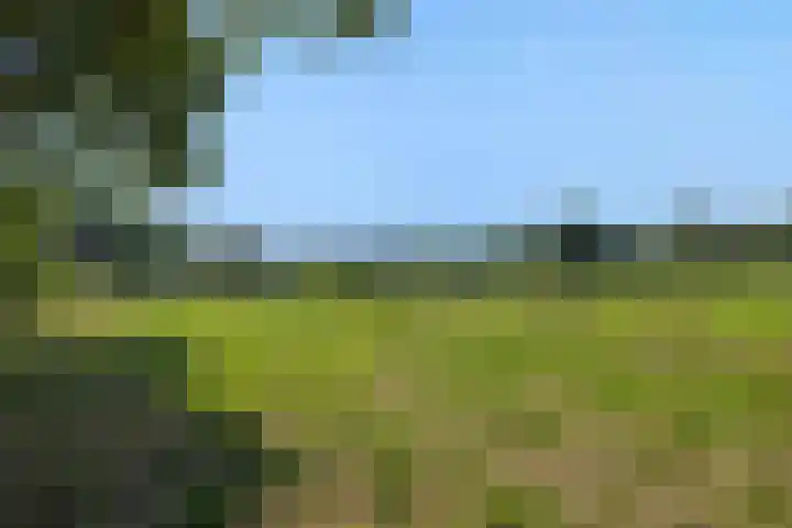 Willibrordusweg 199 Oss thumbnail 32