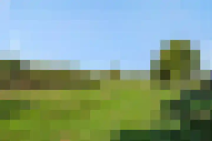 Willibrordusweg 199 Oss thumbnail 33