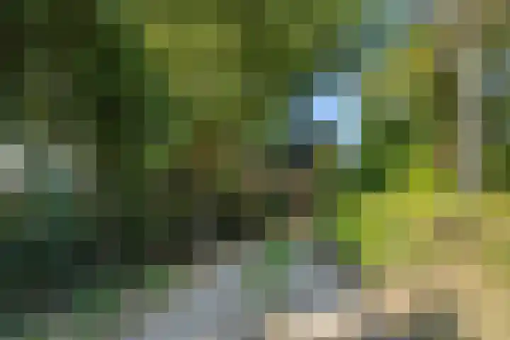 Willibrordusweg 199 Oss thumbnail 36