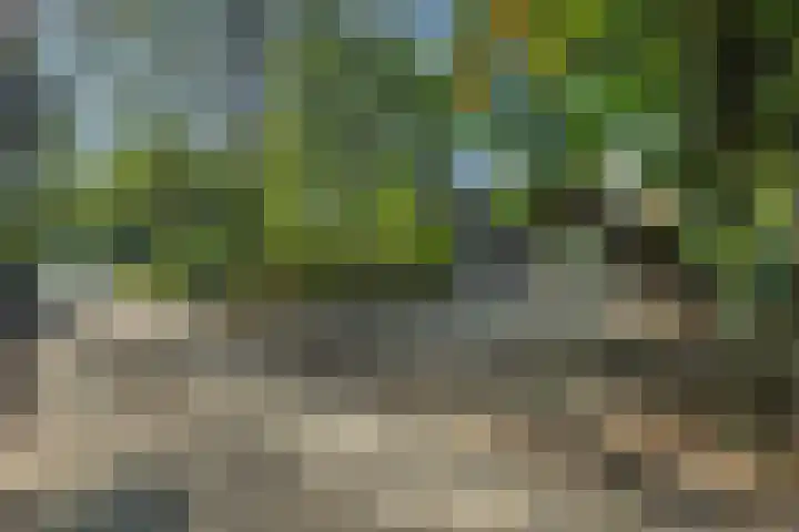 Willibrordusweg 199 Oss thumbnail 39