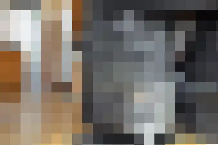 Willibrordusweg 199 Oss thumbnail 4