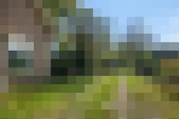 Willibrordusweg 199 Oss thumbnail 40