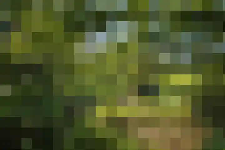 Willibrordusweg 199 Oss thumbnail 44