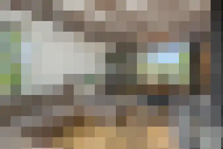 Willibrordusweg 199 Oss thumbnail 5