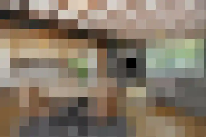 Willibrordusweg 199 Oss thumbnail 8