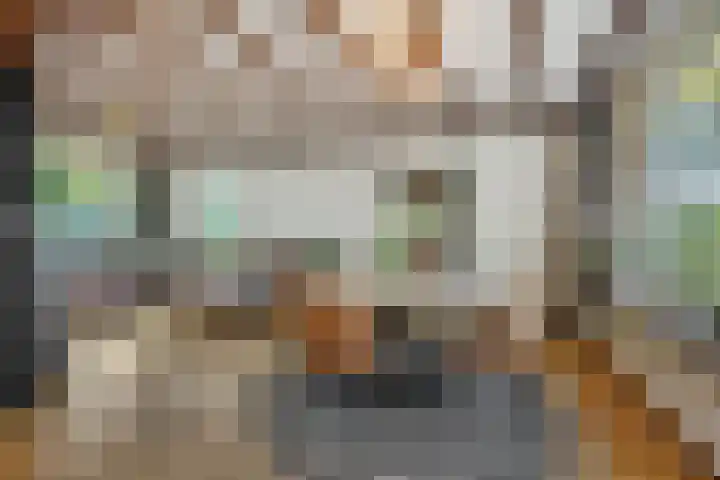 Willibrordusweg 199 Oss thumbnail 9