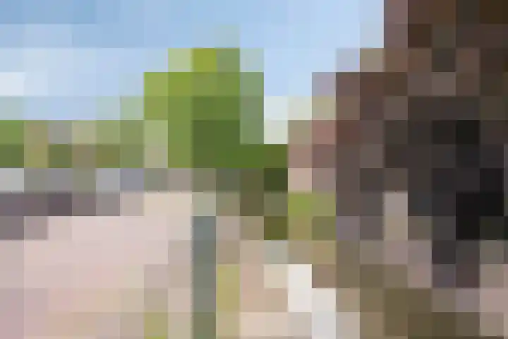 Willink van Collenstraat 35 Breukelen thumbnail 30