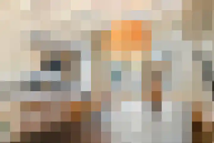 Willink van Collenstraat 62 Breukelen thumbnail 12