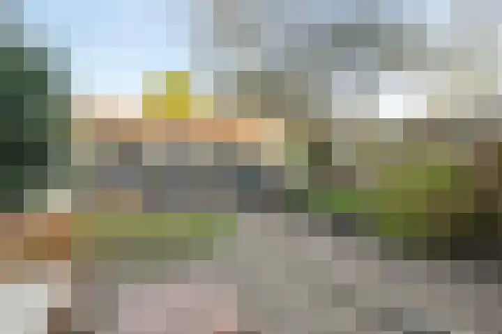 Willink van Collenstraat 62 Breukelen thumbnail 30