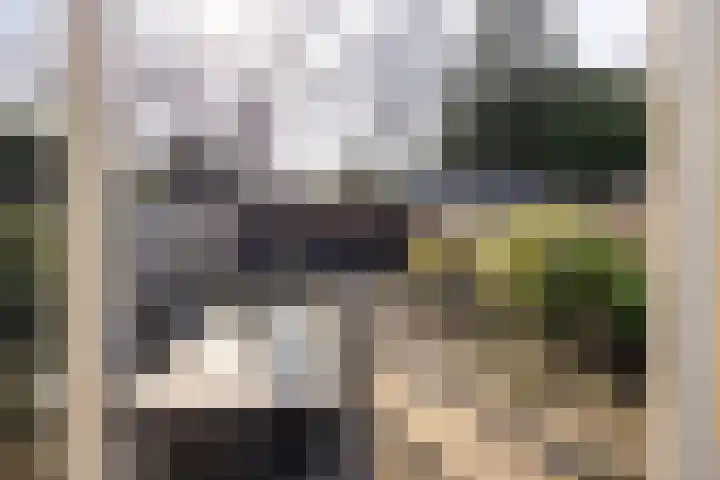 Willink van Collenstraat 69 Breukelen thumbnail 14