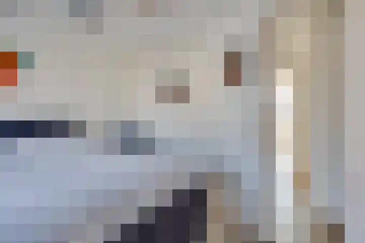 Willink van Collenstraat 69 Breukelen thumbnail 26