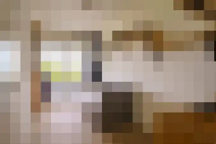 Willinklaan 5 Bennebroek thumbnail 42
